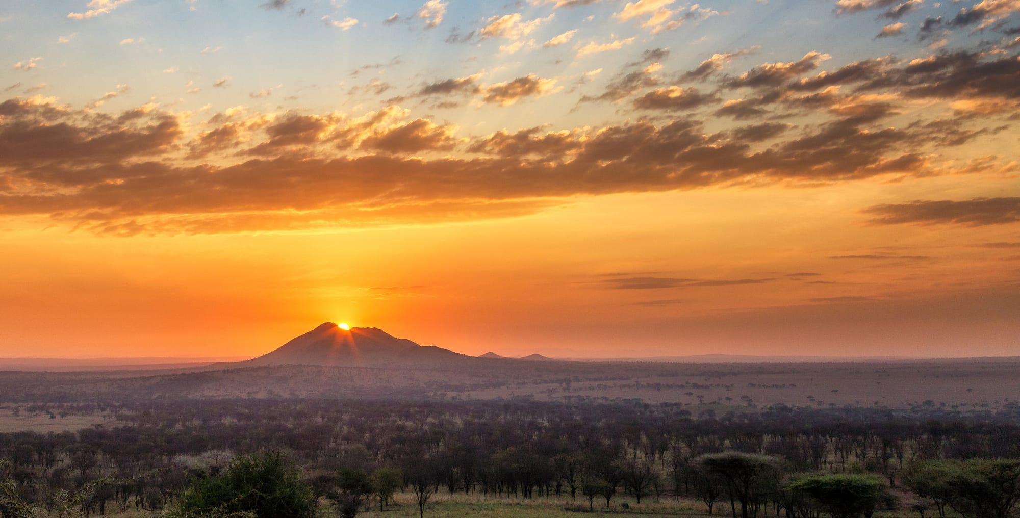 Sunrise over tanzania safari landscape