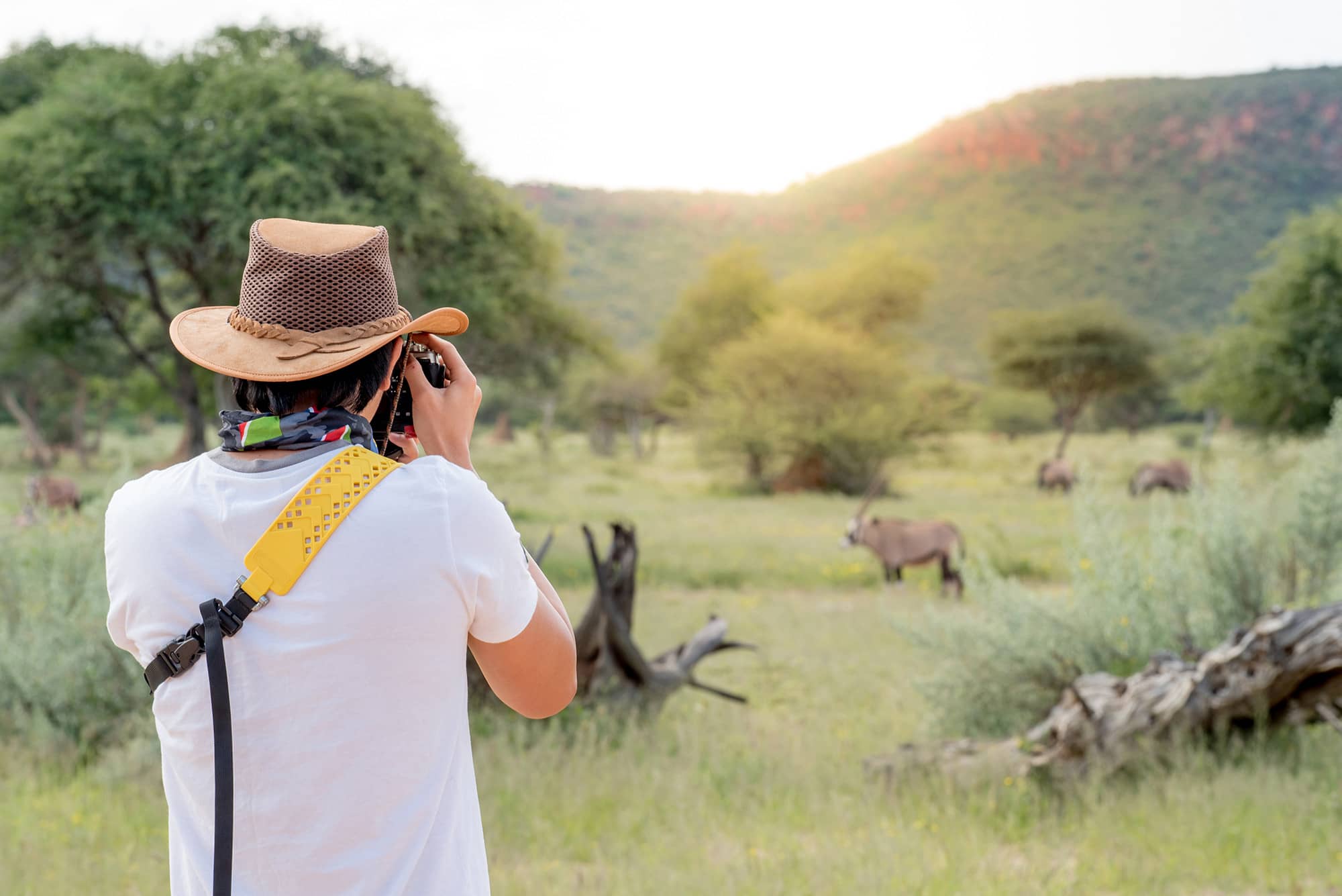 A man shoots pictures of warthogs in the wilds of Tanzania