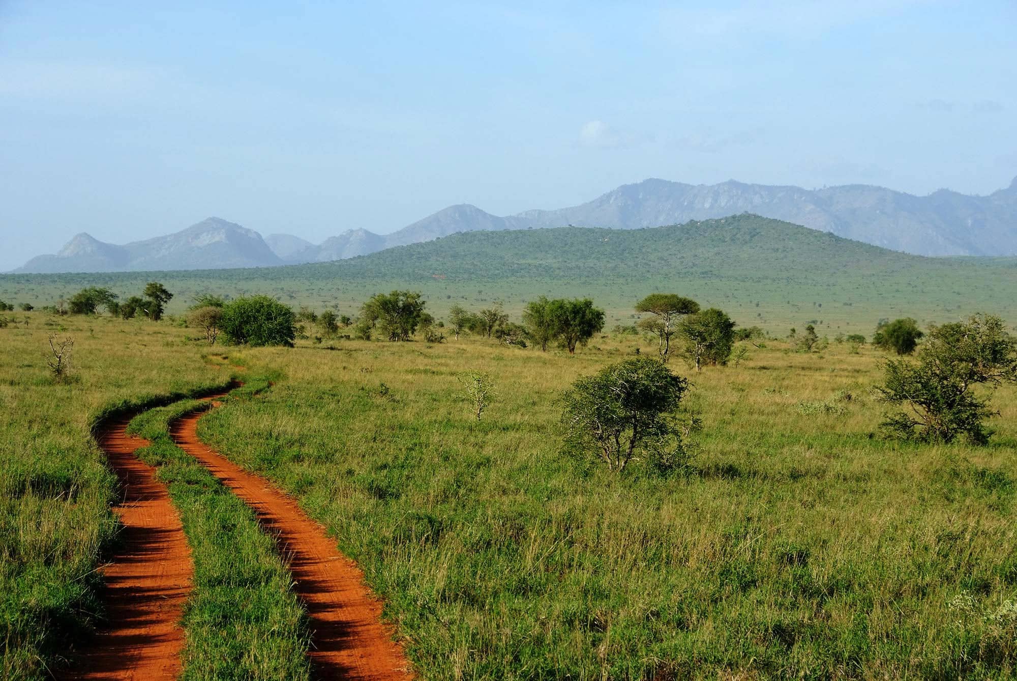 A dirt path winds off into the Tanzanian wilds